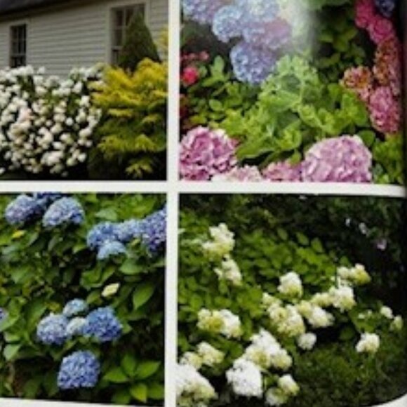 Gardentopia Book, by Jan Johnson Design Tips for your Garden, Countryman Press - Picture 6 of 9